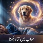 Gemini_Generated_Image_f9sxf5f9sxf5f9sx